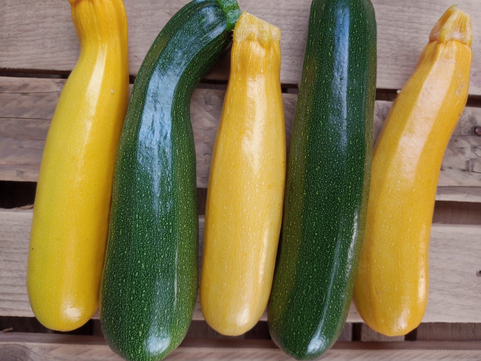 Image of Courgette