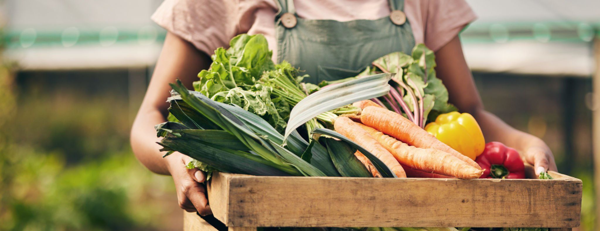 Image of Local Veg Box