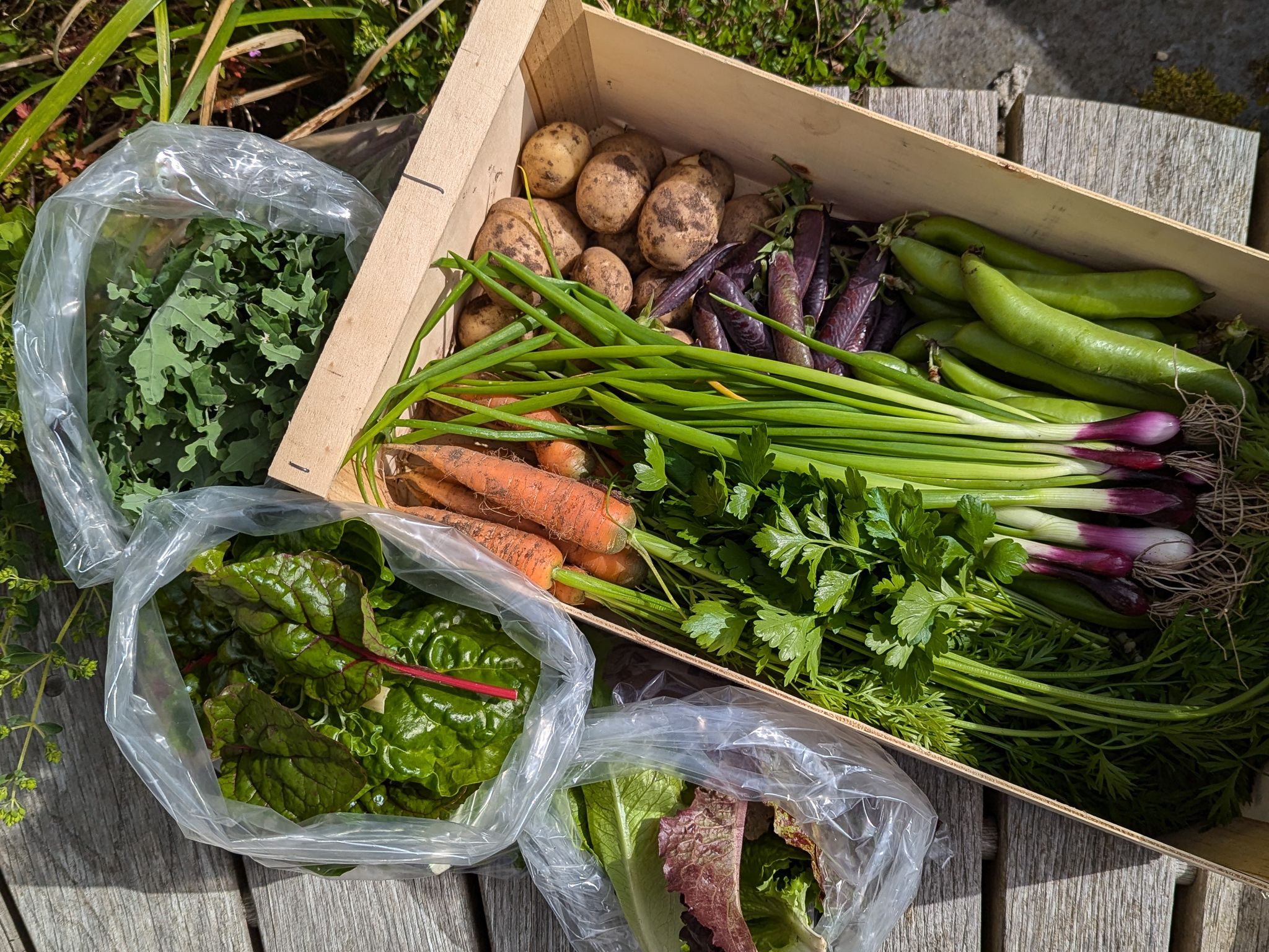 Image of Veg Boxes