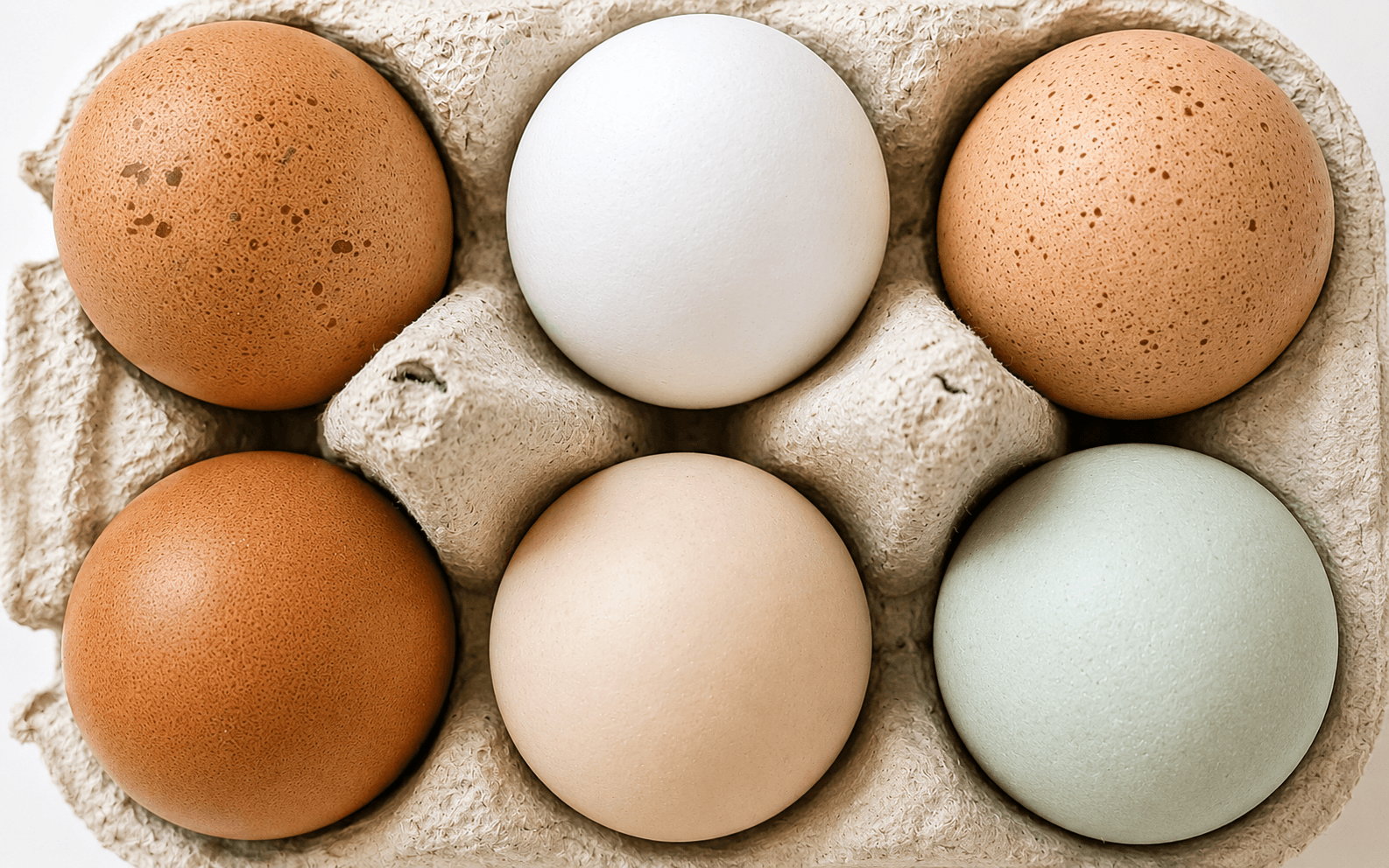 Image of Free Range Eggs