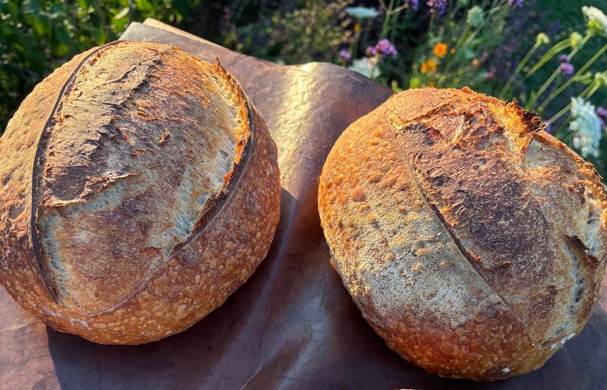 Image of Country Sourdough Loaf