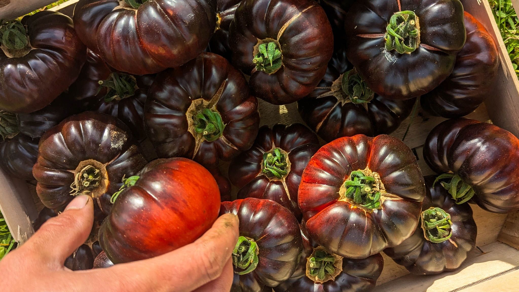 Image of Extra Veg